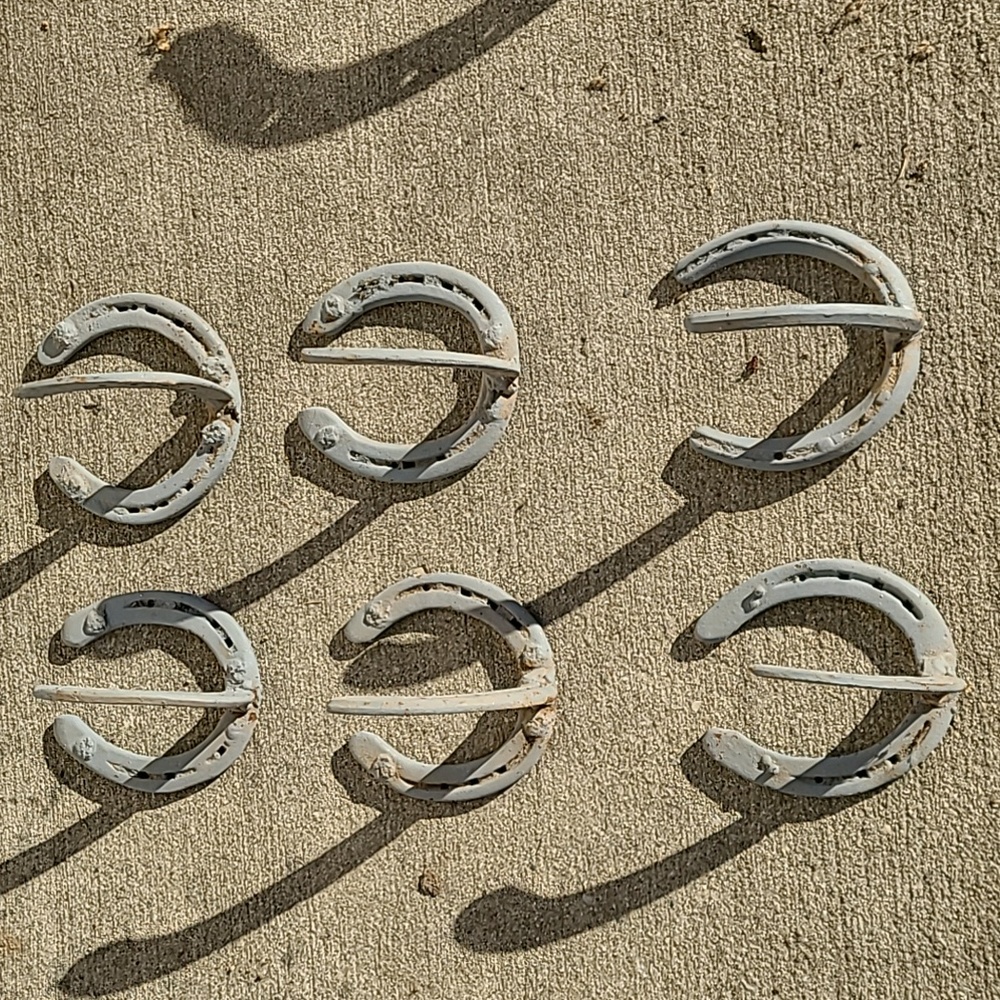 Vintage horseshoe hangers